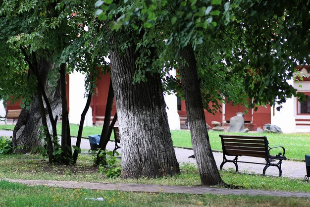 arbre de banc de parc