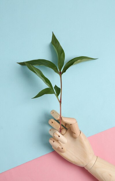 Photo l'arbre en bois tient une brindille avec des feuilles vertes sur un concept écologique de fond bluepink