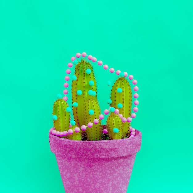 Arbre de cactus de Noël. Concept de Noël tropical hipster style minimaliste de bonbons