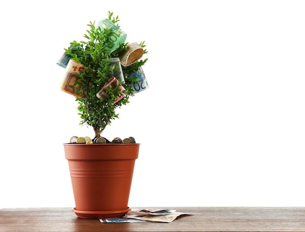 Arbre décoratif en pot avec de l'argent sur table isolé sur blanc