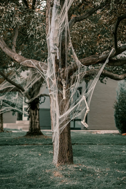 Arbre décoré de squelette et de toile d'araignée