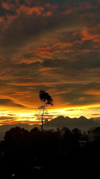 Un arbre devant une montagne avec le soleil couchant derrière lui