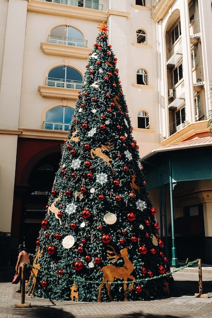 Arbre du Nouvel An sous les tropiques. Port-Louis, Maurice