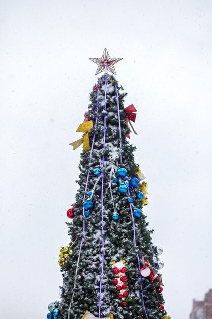 arbre enneigé avec décorations gros plan sur fond de ciel flou