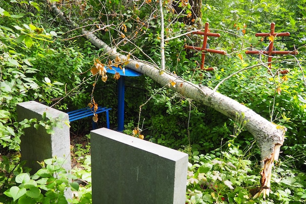 L'arbre est tombé sur le monument et la tombe dans le cimetière Croix et pierres tombales Abattage et enlèvement d'arbres dans le cimetière Pollution du cimetière Dommages aux monuments et tombes