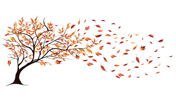 Photo un arbre avec des feuilles d'automne et une pomme rouge dessus