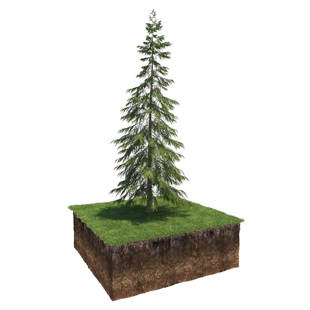 Arbre à feuilles caduques et sol coupé en dessous. Élément de jardin isolé, illustration 3D, rendu cg