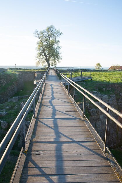 Arbre à la fin du sentier à Almeida, Portugal