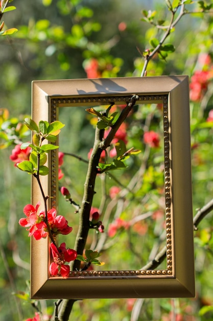 Arbre fleur fleur de belles fleurs dans un cadre