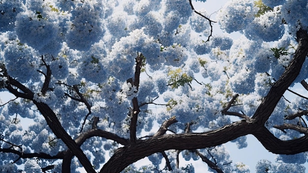 Un arbre à fleurs blanches au printemps.