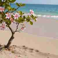 Photo un arbre avec des fleurs roses dans le sable et l'océan en arrière-plan