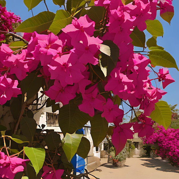 un arbre avec des fleurs violettes et un récipient bleu à l'arrière-plan