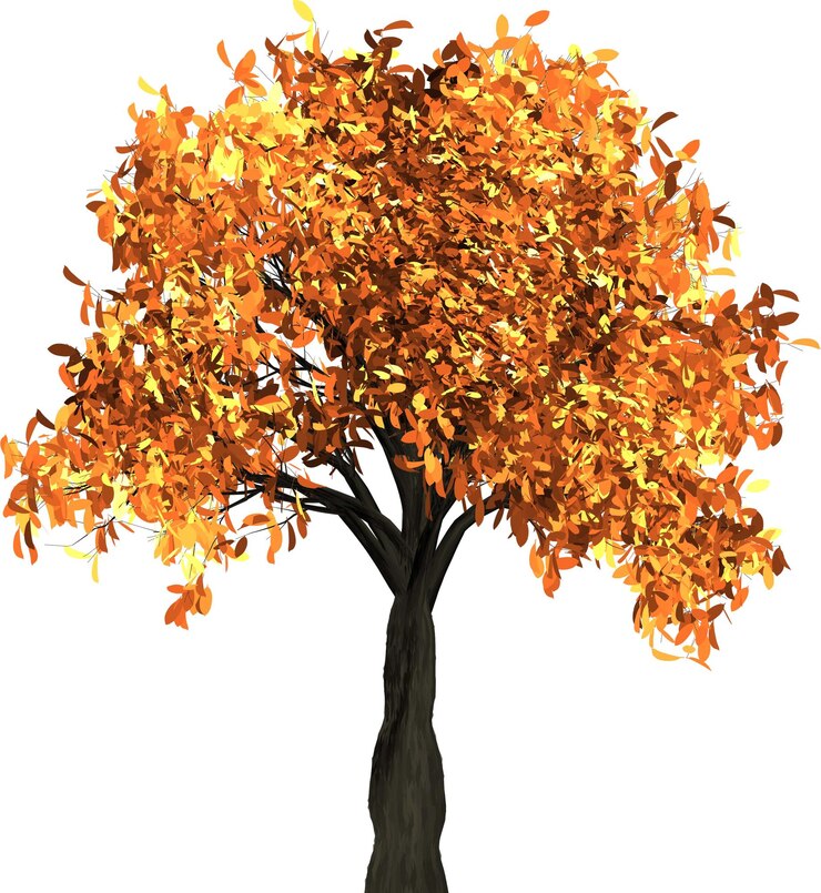 Photo arbre avec un fond plat