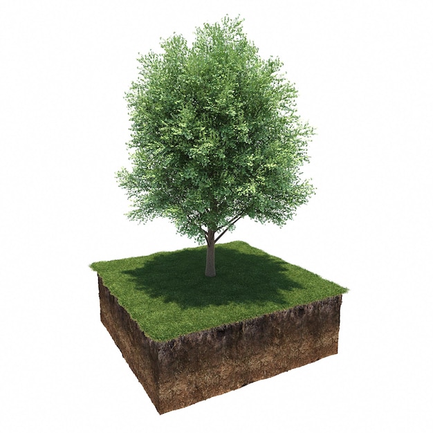 arbre sur l'herbe et une tranche de sol en dessous, rendu 3d