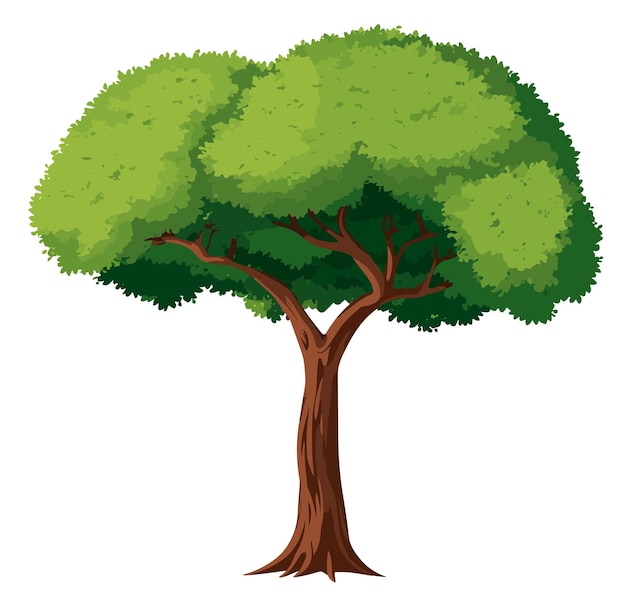 Arbre isolé sur fond blanc clip art style dessin animé AI génératif