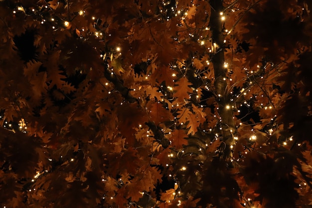 Arbre avec des lumières rougeoyantes, fond de nouvel an, Noël