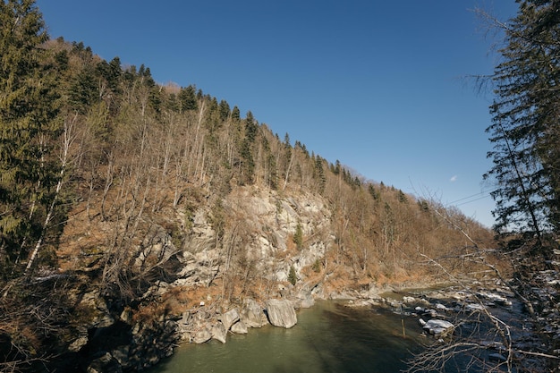 Un arbre avec une montagne en arrière-plan