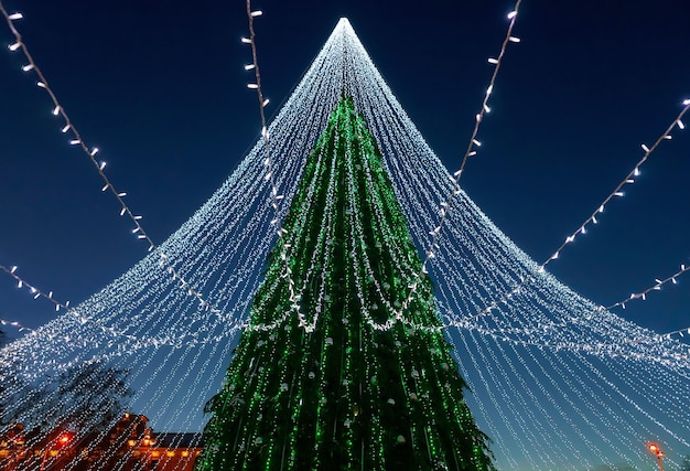 Photo arbre de noël avec décoration installé place de la cathédrale de vilnius en lituanie. il a des guirlandes comme s'il s'agissait d'un voile de mariée. illuminé la nuit