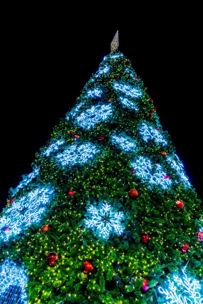 Arbre de Noël et décorations