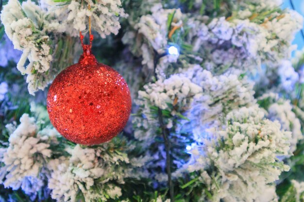 Arbre de Noël décoré de boule rouge sur fond de branches de pin