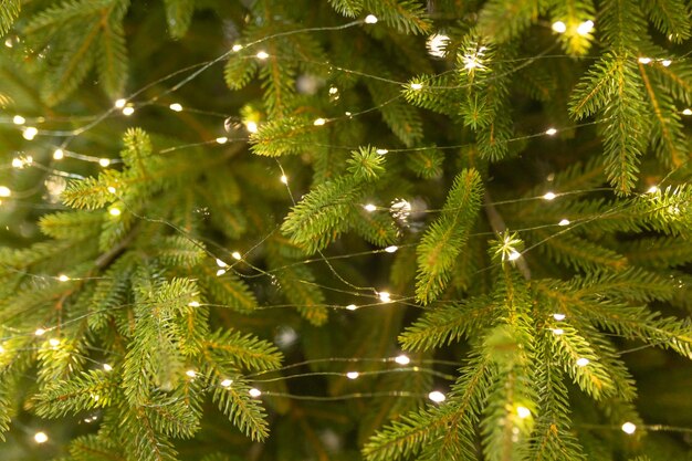 Arbre de Noël défoulé Lumières défoulées Arbre de noël à l'arrière-plan