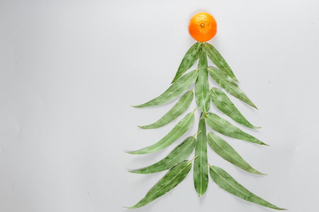Arbre de Noël fait de feuilles d'eucalyptus et de mandarine mise à plat de l'espace de copie de concept de vacances