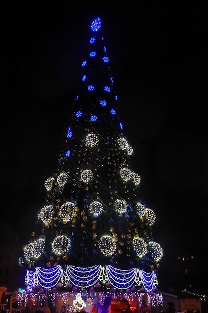 Arbre de Noël fleuri et illuminé au centre de la ville