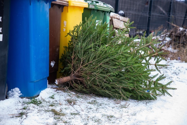 Photo arbre de noël à la poubelle en attendant que le camion poubelle récupère les déchets biodégradables