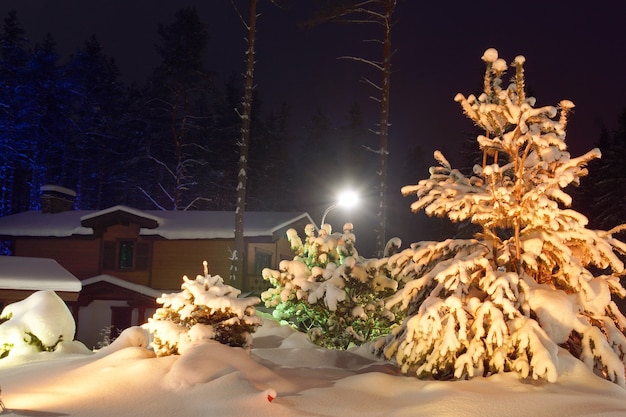 Arbre de Noël recouvert de neige à côté du chalet