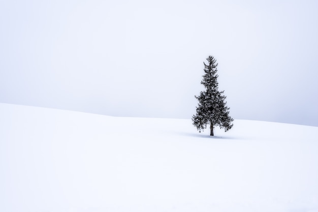 Arbre de Noël recouvert de neige pour le fond.