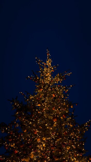 Arbre de Noël