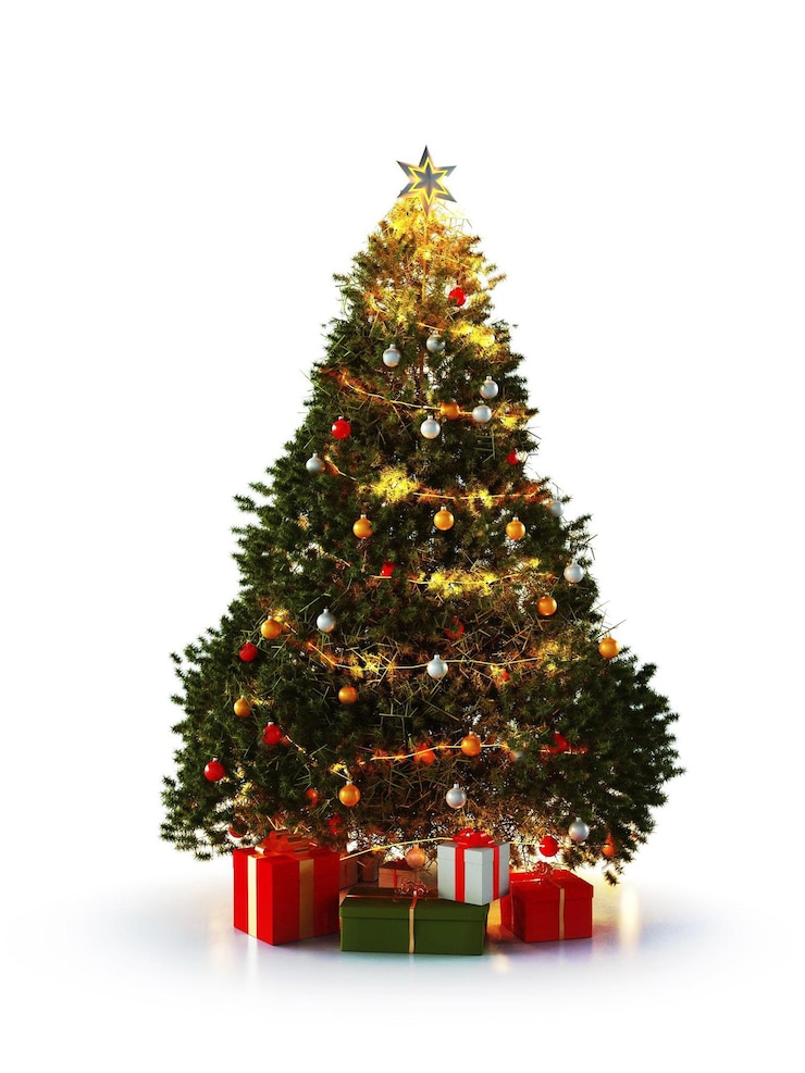 Photo arbre de noël