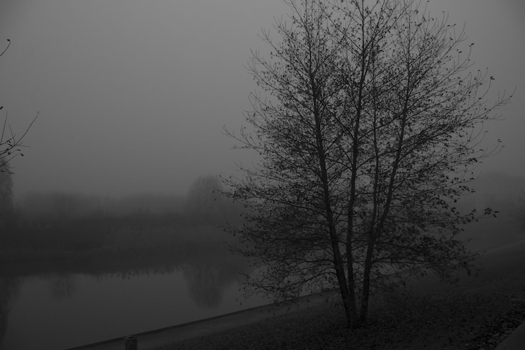 Photo un arbre nu au bord d'un lac contre un ciel clair