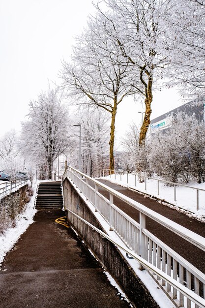 Photo arbre nu couvert de neige contre le ciel