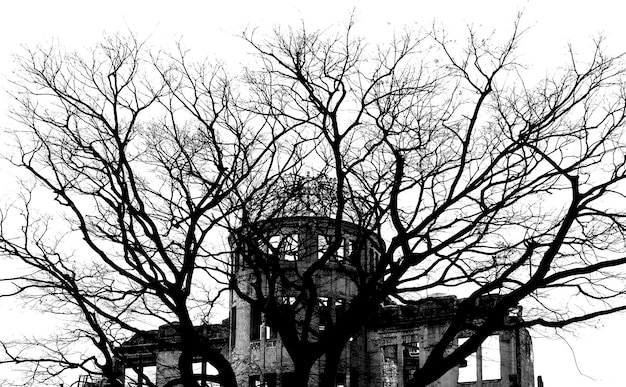 arbre nu devant le bâtiment symbolique