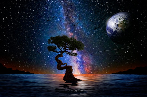 Arbre de nuit sur lac et univers en arrière-plan