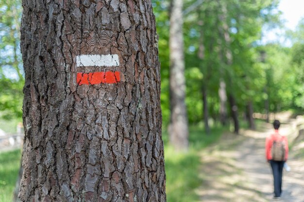 Photo un arbre avec un panneau disant yoga dessus