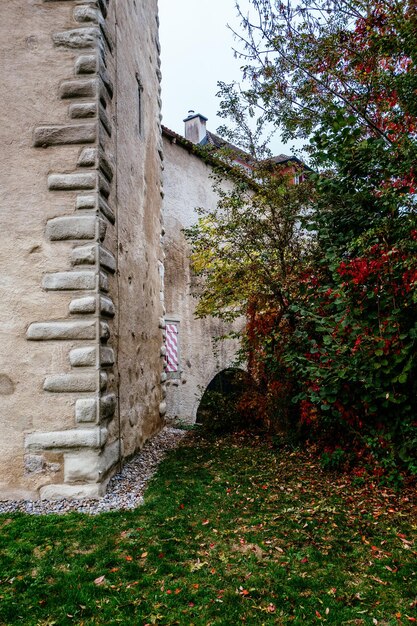 Photo arbre par bâtiment contre le ciel