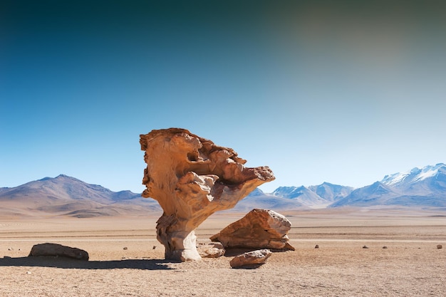 Arbre en pierre Arbol de Piedra sur le plateau Altiplano, Bolivie