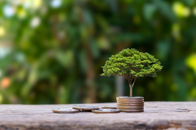 Un arbre poussant sur un tas de pièces sur une table en bois et un fond vert flou