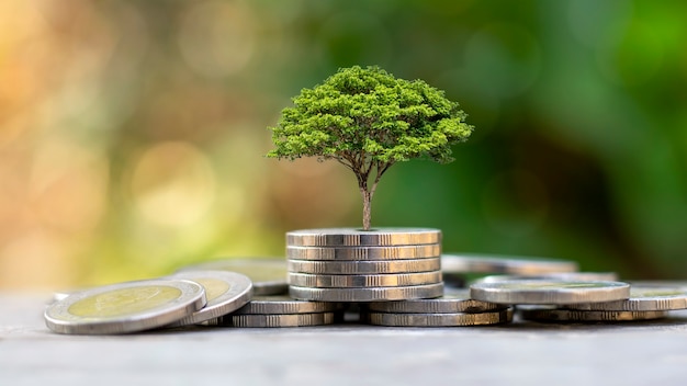 Un arbre poussant sur un tas de pièces