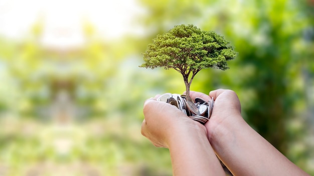 Un arbre qui pousse à partir de pièces de monnaie dans les mains des peuples