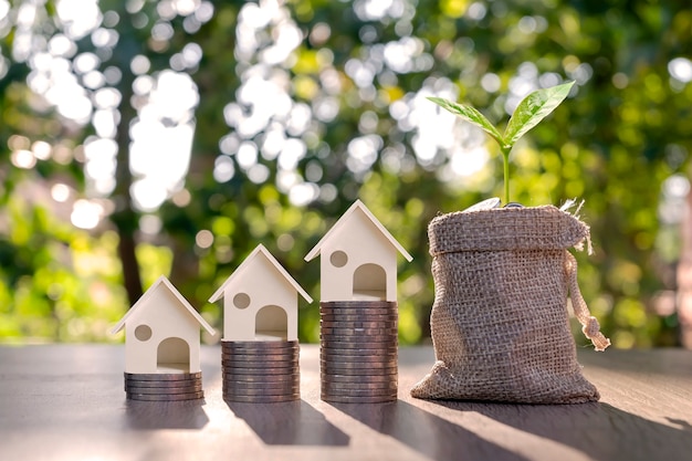 Arbre qui pousse sur un sac d'argent et un modèle de maison sur un tas de pièces d'argent concept d'argent. prêt immobilier