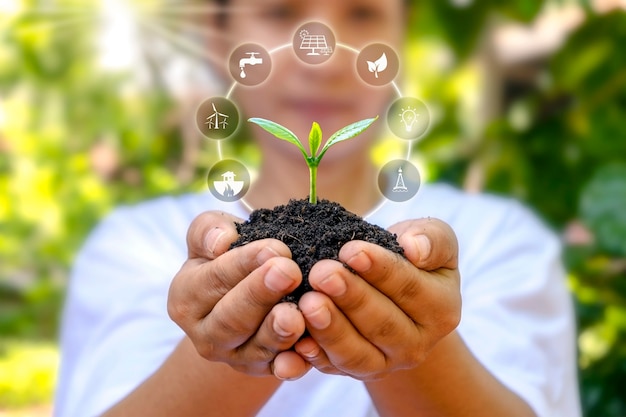 Arbre qui pousse sur le sol entre les mains de l'homme et le facteur de croissance des plantes icône concept de croissance des plantes