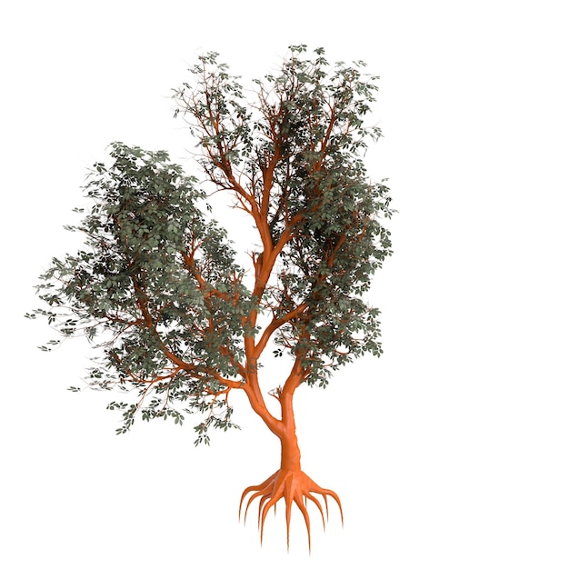 Un arbre avec les racines montrant les racines et les racines sont orange.