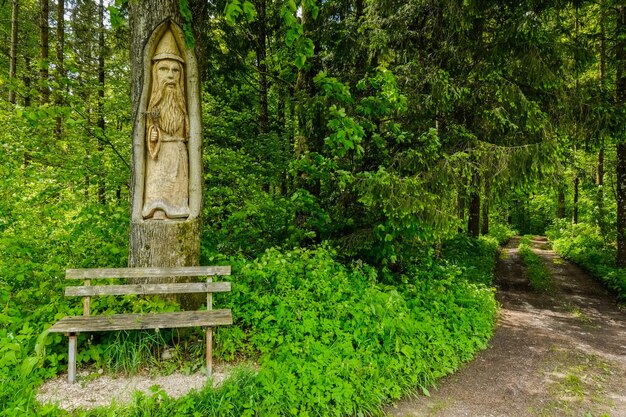 arbre sculpté avec une figure de saint et un banc sur un chemin à travers une forêt verte