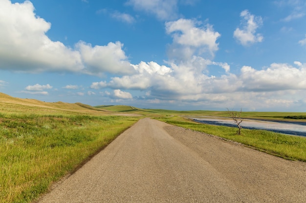 Arbre sec solitaire près de la route près d'un lac asséché Un beau paysage avec un ciel bleu de route