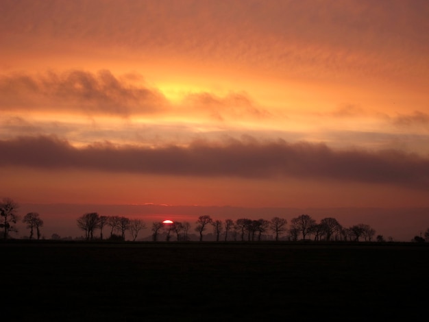 Arbre, silhouette, coucher soleil, ciel