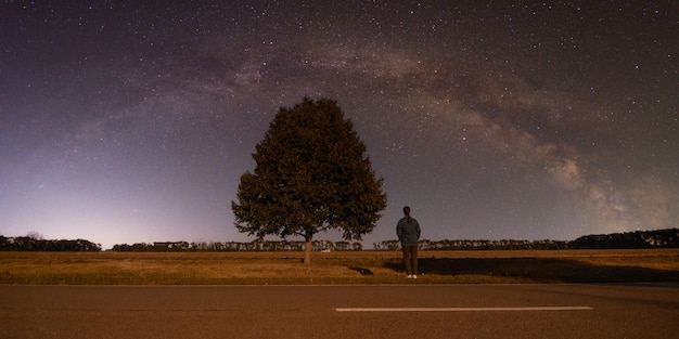 arbre le soir au dessus de la route