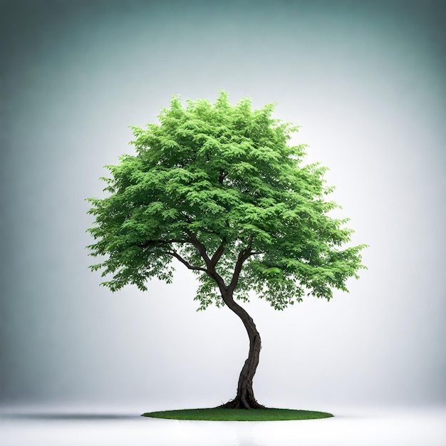 Photo arbre vert isolé sur fond blanc ai génératif